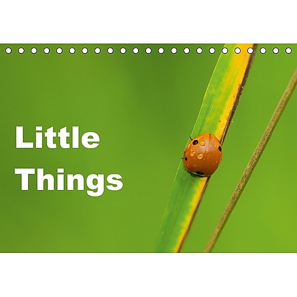 Little Things (Tischkalender 2014 DIN A5 quer), David Tickell