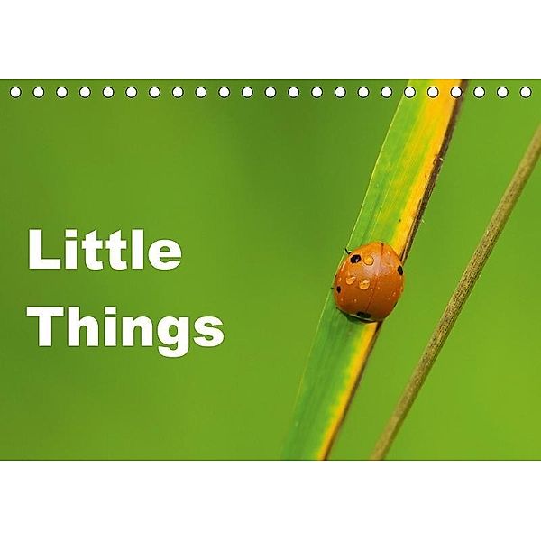 Little Things (Tischkalender 2017 DIN A5 quer), David Tickell