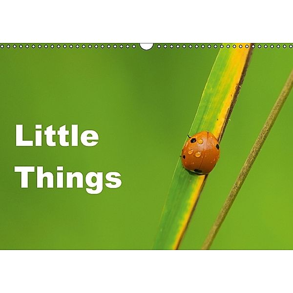 Little Things (Wandkalender 2014 DIN A3 quer), David Tickell