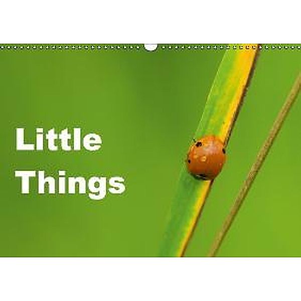 Little Things (Wandkalender 2016 DIN A3 quer), David Tickell