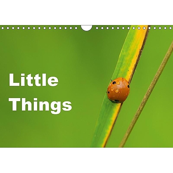 Little Things (Wandkalender 2017 DIN A4 quer), David Tickell