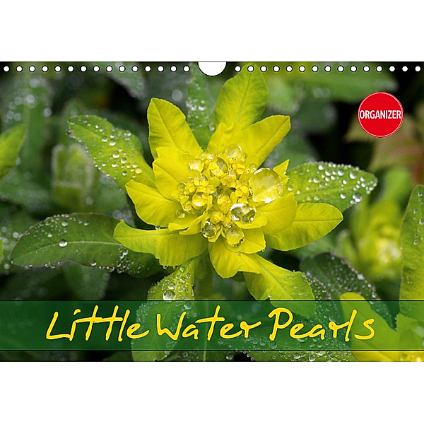 Little Water Pearls (Wall Calendar 2019 DIN A4 Landscape), Gisela Kruse