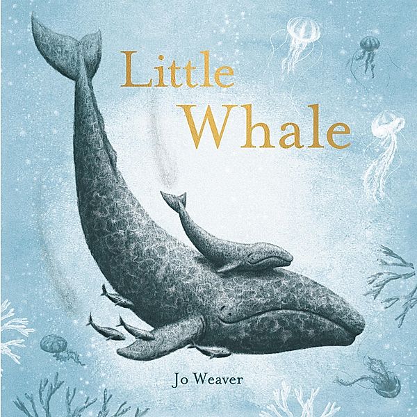 Little Whale, Jo Weaver