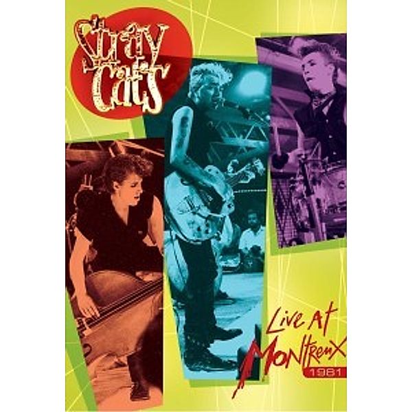 Live At Montreux 1981, Stray Cats