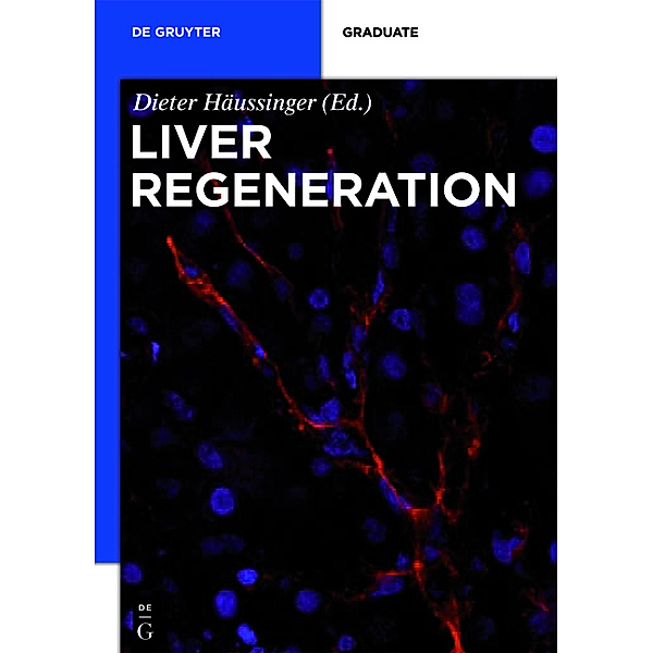 Liver Regeneration