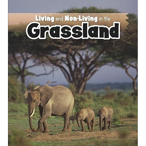 Living and Non-living in the Grasslands / Raintree Publishers, Rebecca Rissman