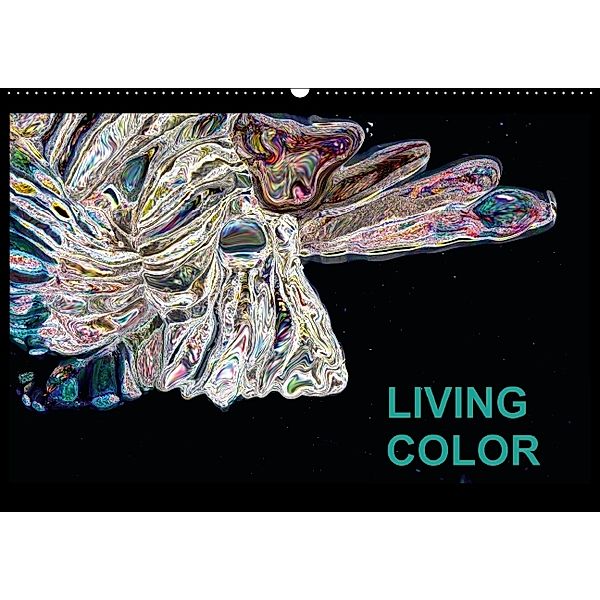 Living Color (Wandkalender 2014 DIN A4 quer), Jörg Wand