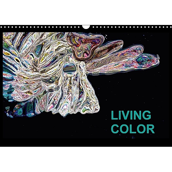 Living Color (Wandkalender 2018 DIN A3 quer), Jörg Wand