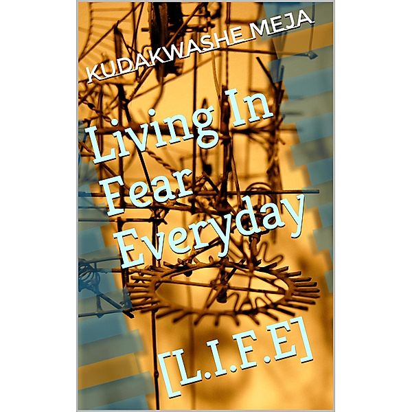 Living In Fear Everyday (Poetry Has A Voice, #1) / Poetry Has A Voice, Kudakwashe Meja