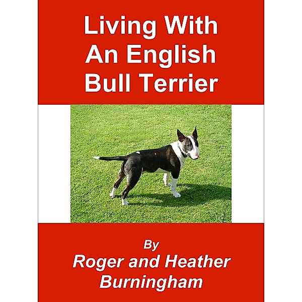 Living With An English Bull Terrier, Heather Burningham