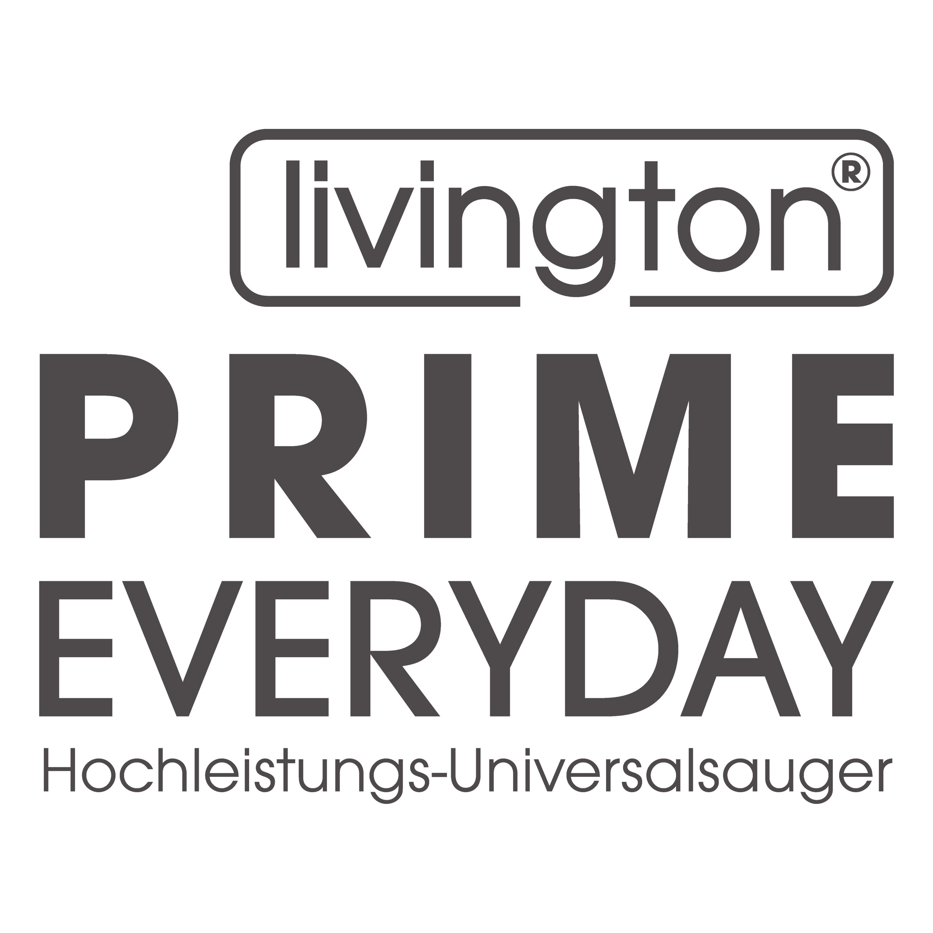 Farbe: Everyday schwarz Livington Prime Akku-Handstaubsauger