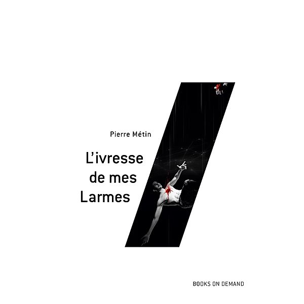 L'ivresse de mes Larmes, Pierre Métin