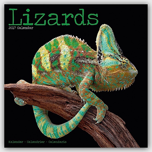 Lizards 2017, Avonside Publishing Ltd.
