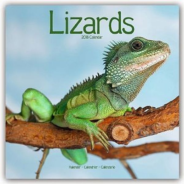 Lizards 2018, Avonside Publishing