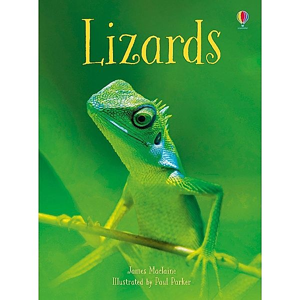 Lizards, James Maclaine