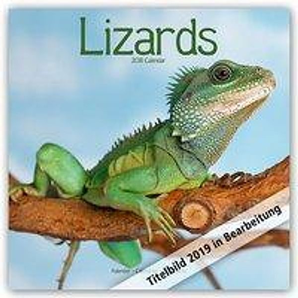 Lizards - Eidechsen 2019