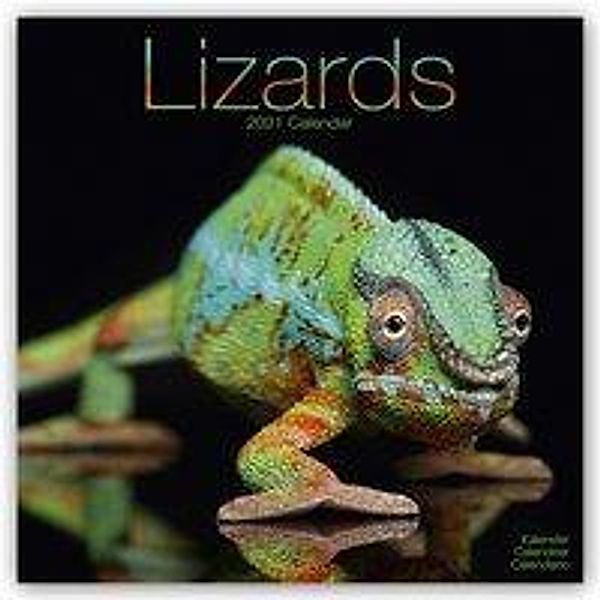 Lizards - Eidechsen 2021, Avonside Publishing