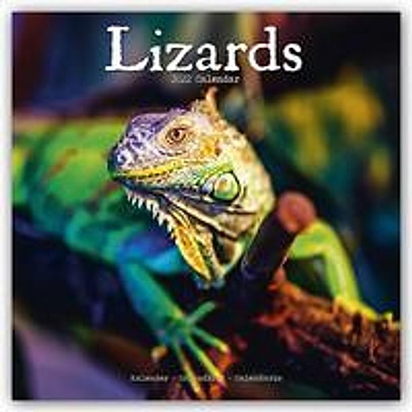 Lizards - Eidechsen 2022, Avonside Publishing Ltd