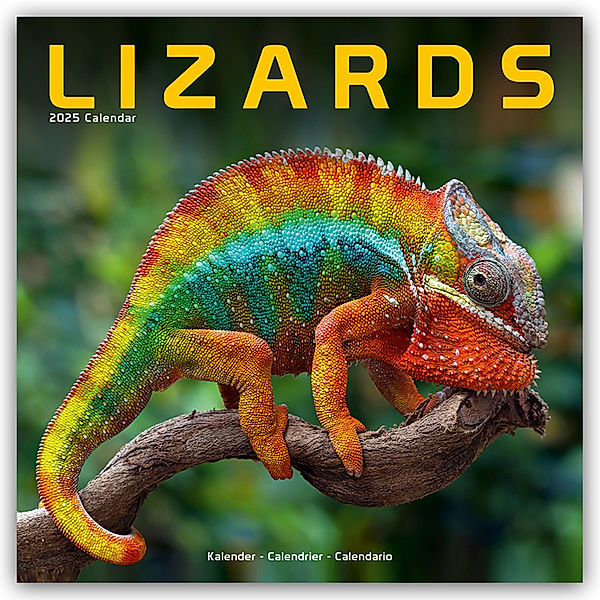 Lizards - Eidechsen 2025 - 16-Monatskalender, Avonside Publishing Ltd