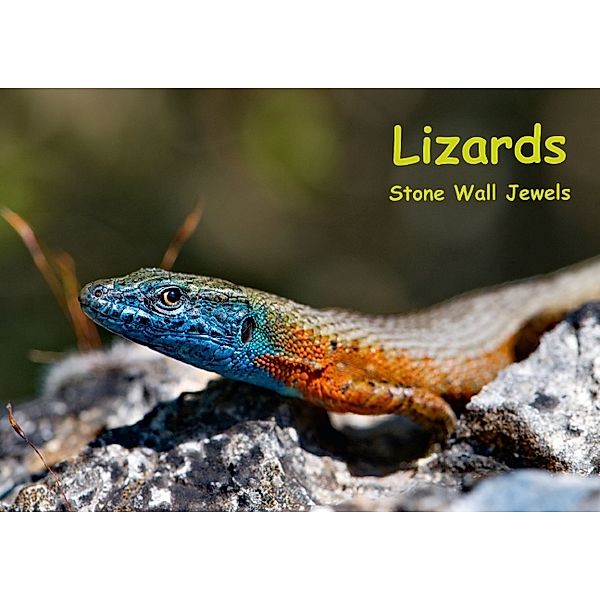 Lizards - Stone Wall Jewels (Poster Book DIN A3 Landscape), Stefan Dummermuth