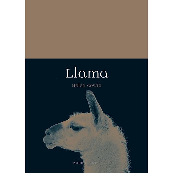 Llama / Animal, Cowie Helen Cowie