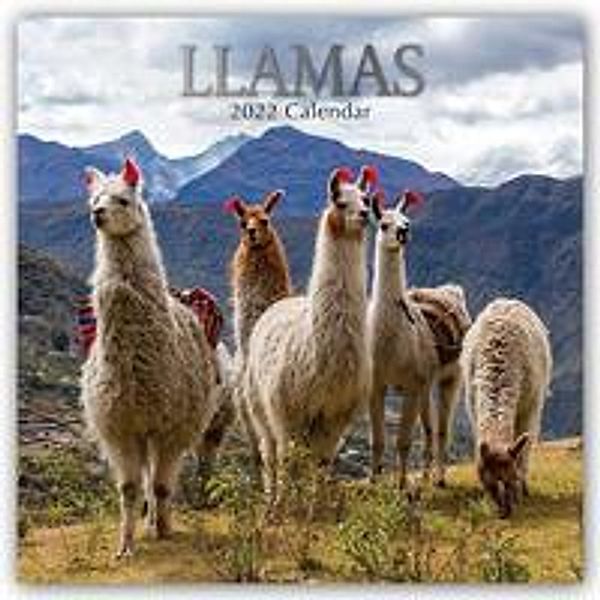 Llamas - Lamas 2022 - 16-Monatskalender, Gifted Stationery Co. Ltd