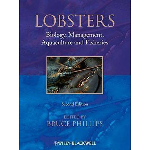 Lobsters, Bruce Phillips