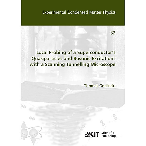 Local Probing of a Superconductor's Quasiparticles and Bosonic Excitations with a Scanning Tunnelling Microscope, Thomas Gozlinski