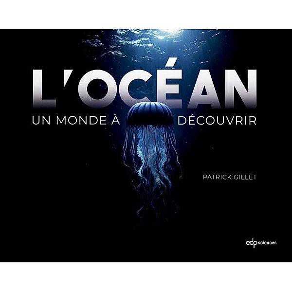 L'océan / Hors collection, Patrick Gillet