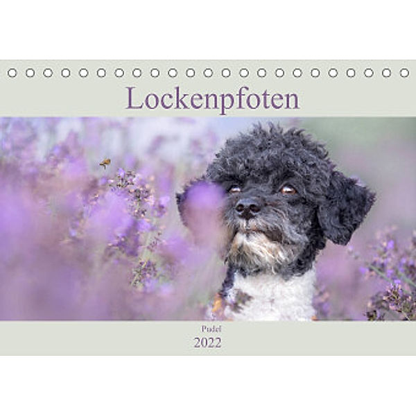 Lockenpfoten 2022 (Tischkalender 2022 DIN A5 quer), Sabine Böke-Bergau www.boegau.de