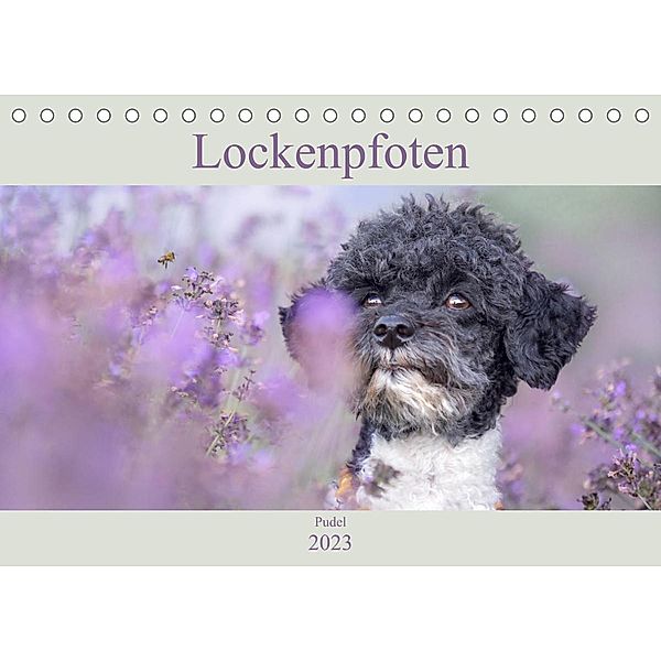 Lockenpfoten 2023 (Tischkalender 2023 DIN A5 quer), Sabine Böke-Bergau www.boegau.de