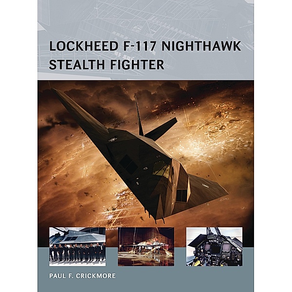 Lockheed F-117 Nighthawk Stealth Fighter, Paul F. Crickmore