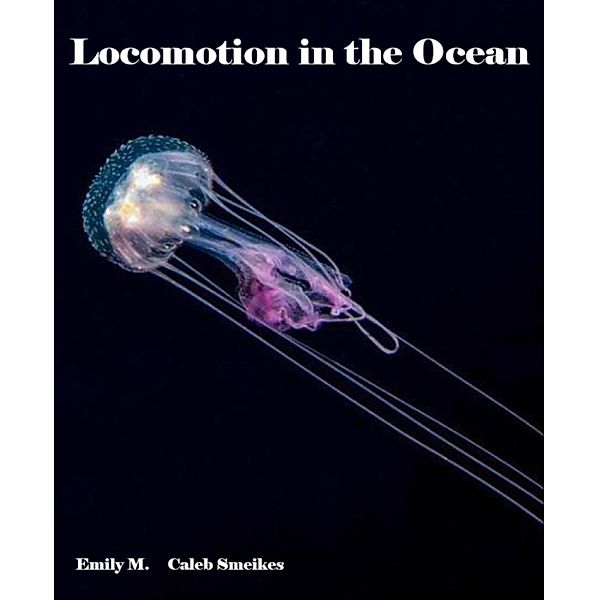 Locomotion in the Ocean, Emily M., Caleb Smeikes