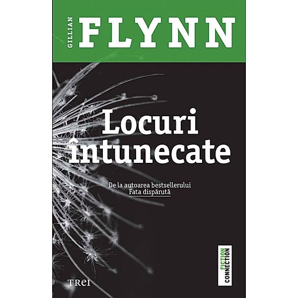 Locuri întunecate / Fiction Connection, Gillian Flynn