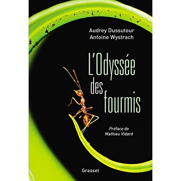 L'Odyssée des fourmis / Essai, Audrey Dussutour, Antoine Wystrach