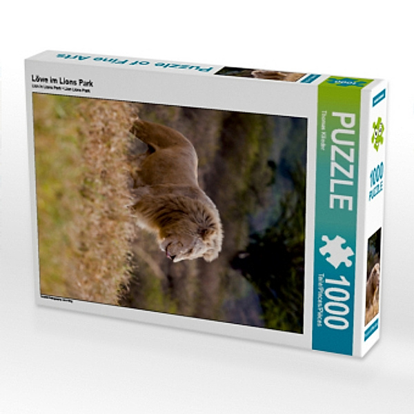 Löwe im Lions Park (Puzzle), Thomas Klinder