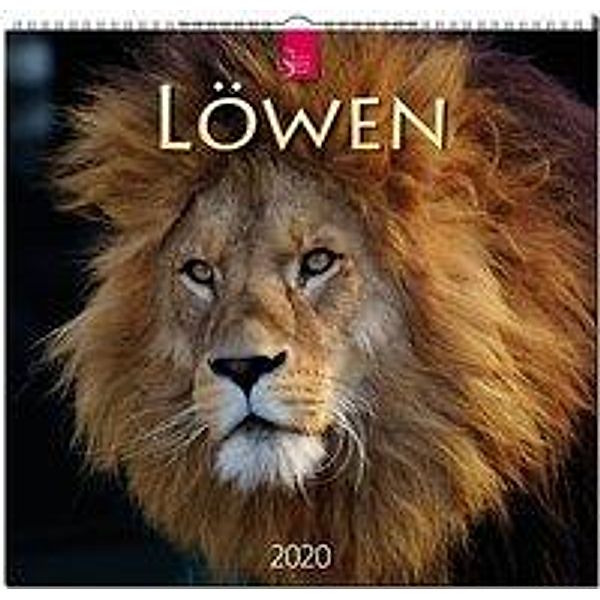 Löwen 2020