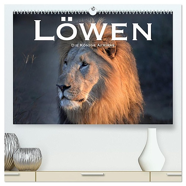 Löwen. Die Könige Afrikas (hochwertiger Premium Wandkalender 2024 DIN A2 quer), Kunstdruck in Hochglanz, Robert Styppaa