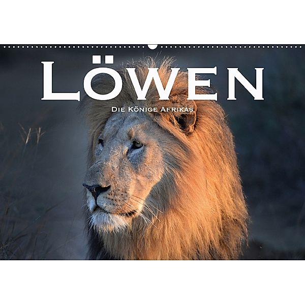 Löwen. Die Könige Afrikas (Wandkalender 2018 DIN A2 quer), Robert Styppa