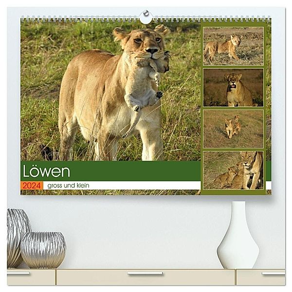 Löwen - gross und klein (hochwertiger Premium Wandkalender 2024 DIN A2 quer), Kunstdruck in Hochglanz, Susan Michel