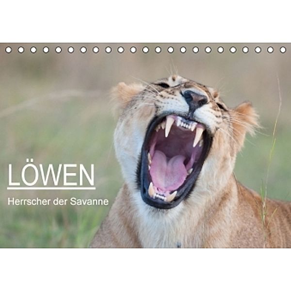 Löwen - Herrscher der Savanne / CH-Version (Tischkalender 2015 DIN A5 quer), Andreas Lippmann