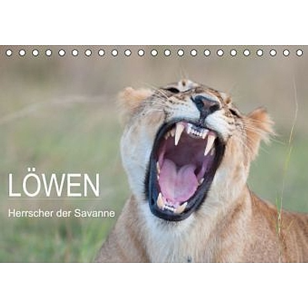 Löwen - Herrscher der Savanne (Tischkalender 2015 DIN A5 quer), Andreas Lippmann