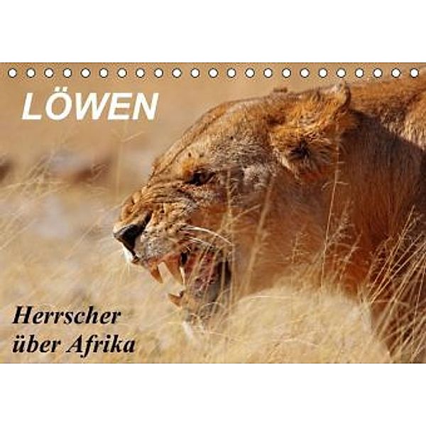 Löwen - Herrscher über Afrika (Tischkalender 2015 DIN A5 quer), Wibke Woyke