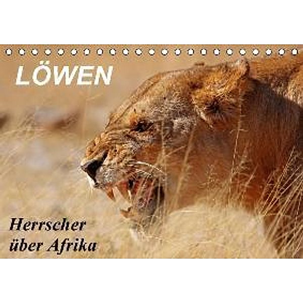 Löwen - Herrscher über Afrika (Tischkalender 2016 DIN A5 quer), Wibke Woyke