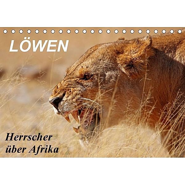 Löwen - Herrscher über Afrika (Tischkalender 2017 DIN A5 quer), Wibke Woyke