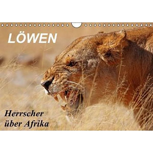 Löwen - Herrscher über Afrika (Wandkalender 2015 DIN A4 quer), Wibke Woyke