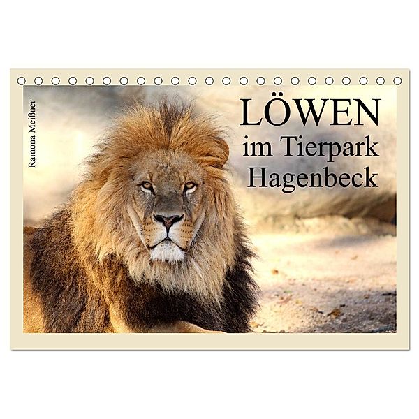 Löwen im Tierpark Hagenbeck (Tischkalender 2024 DIN A5 quer), CALVENDO Monatskalender, Ramona Meissner