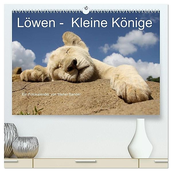 Löwen - Kleine Könige (hochwertiger Premium Wandkalender 2024 DIN A2 quer), Kunstdruck in Hochglanz, Stefan Sander