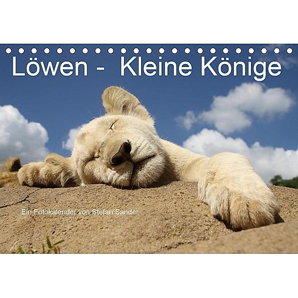 Löwen - Kleine Könige (Tischkalender 2021 DIN A5 quer), Stefan Sander