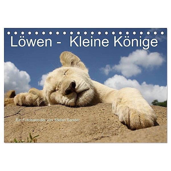 Löwen - Kleine Könige (Tischkalender 2024 DIN A5 quer), CALVENDO Monatskalender, Stefan Sander